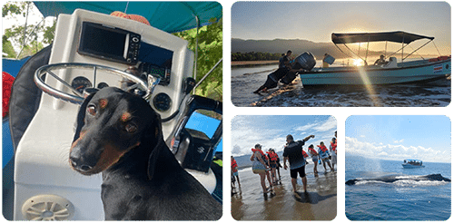About-us-Whale-watching-Uvita-Get-to-know-us Whale Tour Uvita Costa Rica tour
