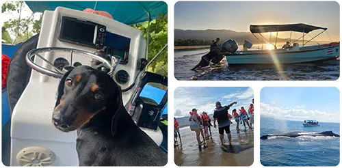 Whale Tour Uvita Costa Rica tour